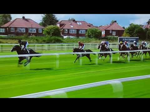 Lonsdale Cup 2018-Stradivarius