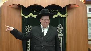 הרב ליאור גלזר פוטין מצא את הקרוקס של שיפר קורע מצחוק 🔥🔥🔥
