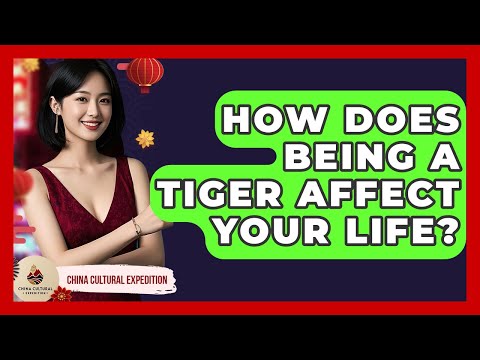How Does Being A Tiger Affect Your Life? - China Cultural Expedition