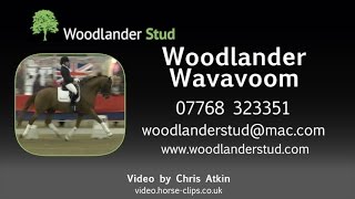 Video von Wavavoom