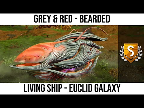 No Man's Sky | Living Ship: Grey & Red Bearded With Short Arms & Single Thruster - Euclid