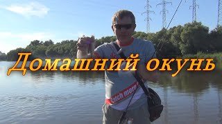 Константин кузьмин ловля щуки и окуня