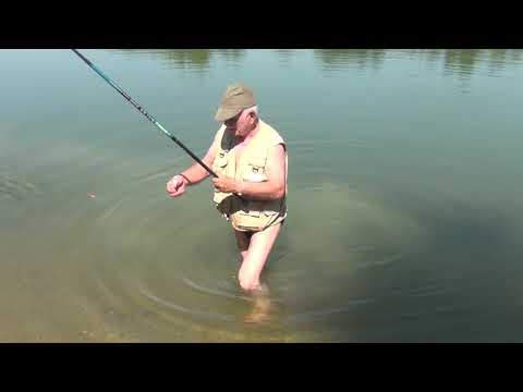 Pêche d'un petit goujon