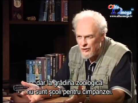 Verdictul stiintei: Creatie - seria 5, episodul 3 - Oare pot maimutele sa mearga la scoala?