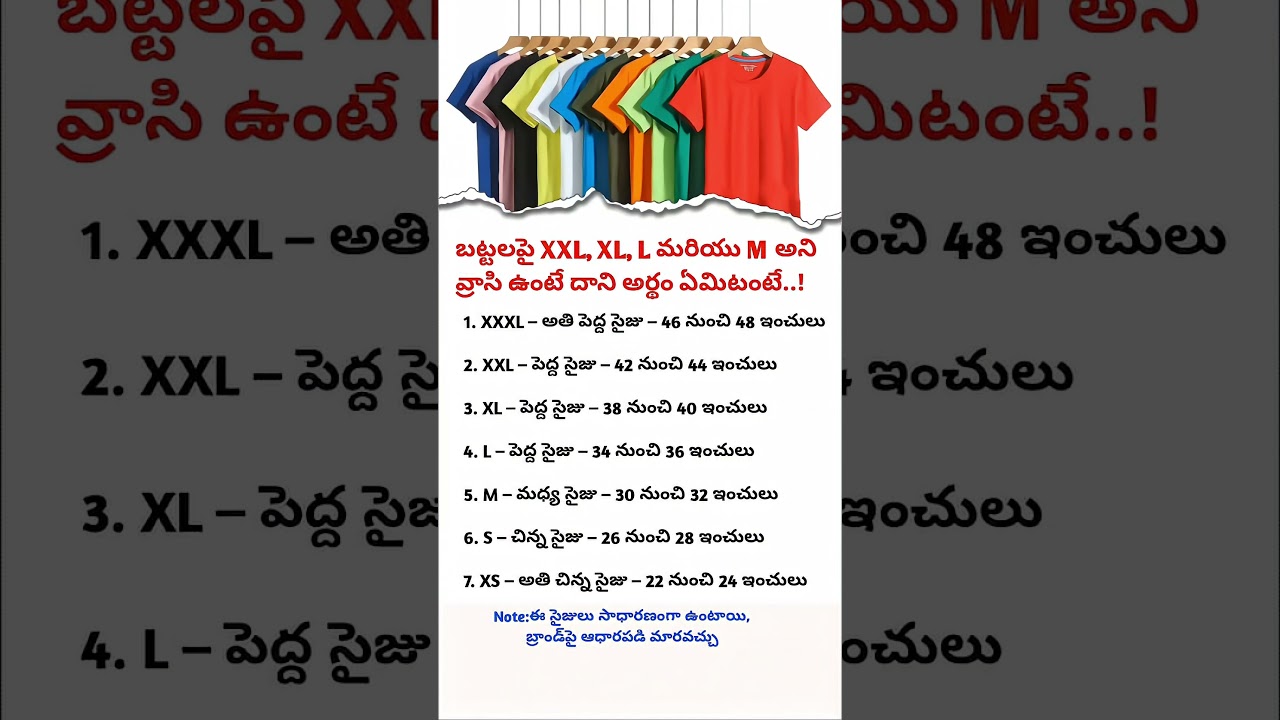 T-Shirt Size Guide | What XXL, XL, L, M, S, XS Mean | Inches Chart Explained | Clothing Size Info