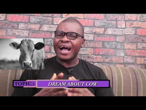DREAMS ABOUT COWS - Evangelist Joshua Orekhie Dream Dictionary