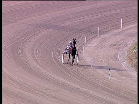 Trotto 06/12/2019 - prova di qualifica