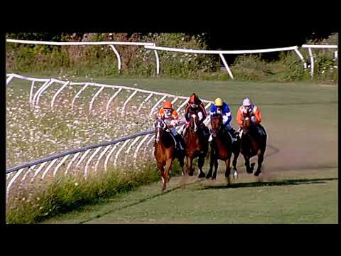 Galoppo 18/07/2020 - 3ª corsa