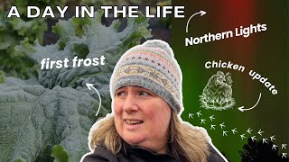 A Day In The Life Of A Canadian Homesteader | Chickens, Frost, And Northern Lights!