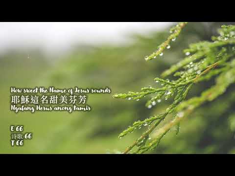 HYMN 66: How sweet the Name of Jesus sounds