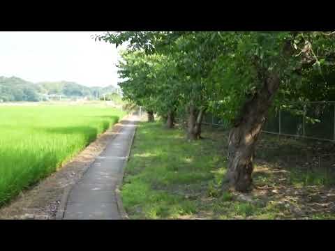 Ingrese a la calle lateral de la estación Shimousa Matsuzaki #Estación Shimosa Matsuzaki #Línea Narita #Ramal Abiko