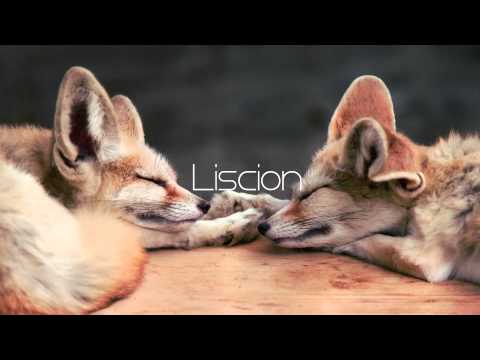 Andreas Ort - Seasons (ft. Submatik & Charline)