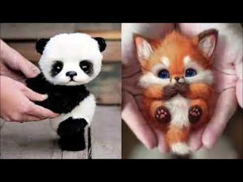 Cute animals 😍 ❤ ♥ 💖