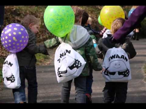 Parapluschool "Zwaan zoekt een vriendje"