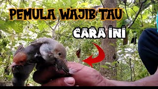 Download lagu Cara Mikat Burung Prenjak Susah Turun | Prenjak Takut Suara Mp³ mp3