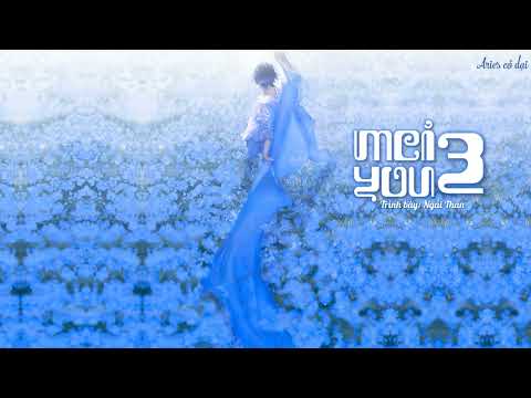 [Mashup] Meiyou 3 - Ngải Thần || MEIYOU 3 - 艾辰