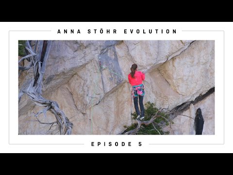 EVOLUTION | Anna Stöhr | Arbeitsplatz