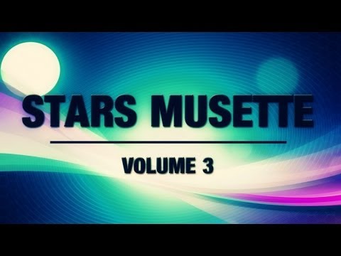 Damien Berezinski - Bal Au Cœur De Vienne (Stars Musette Volume 3)