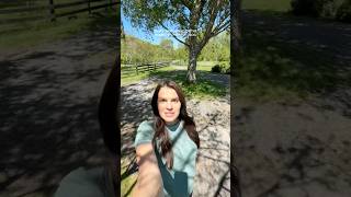 A LOT happening on the homestead today | VLOG