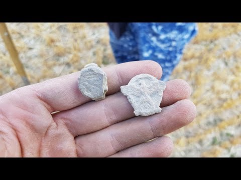 Der Bayern Sondler Teil 51 - Sondel-Spezial #16 mit Mike, Daniel und Alexander