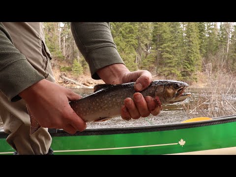 Solo Canoe| Ice Out Canoe Trip For Brook Trout