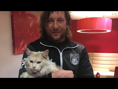 ROH Announces Global Wars For Chicago, Kenny Omega Match