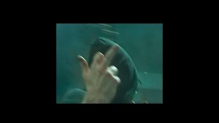 Free Finga & Pilaitė - Gestas