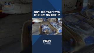 [이슈 직진] 울릉도 '마른 오징어' 17만 원 바가지 논란...해명 들어보니? #shorts #프레스룸LIVE | MBN 260506 방송