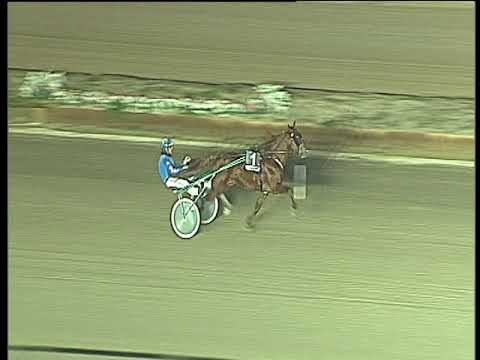 Trotto 30/01/2018 - prova di qualifica