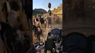 Download lagu Gausar Valley Offroad #soonvalley #gausarvalley #f650gs #adventureriders mp3