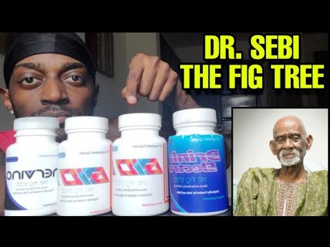 download lagu mp3 mp4 Figtree Com, download lagu Figtree Com gratis, unduh video klip Figtree Com