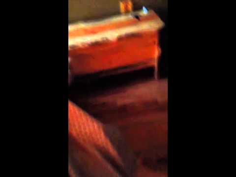 Mosin cat and foil ball 2