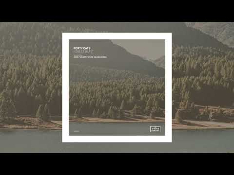 Forty Cats - Infinite Gradient [Sound Avenue]