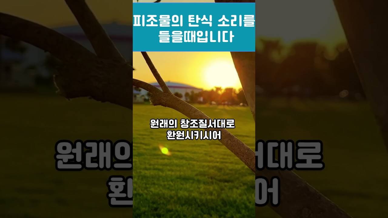 이제는 피조물의 탄식소리를 들을 때입니다