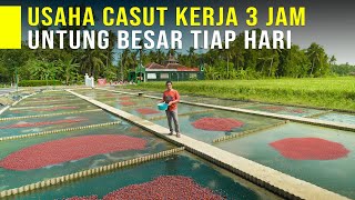 Download lagu USAHA ANTI GAGAL! Budidaya Cacing Sutra Untung Jutaan Tiap Hari mp3