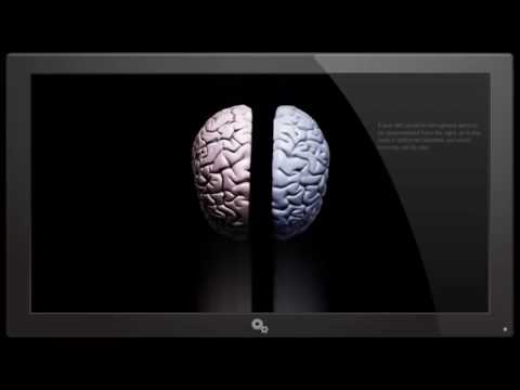 THE AWAKENING – Quantum Mechanics of the Human Brain & Consciousness FULL DOC - 2017