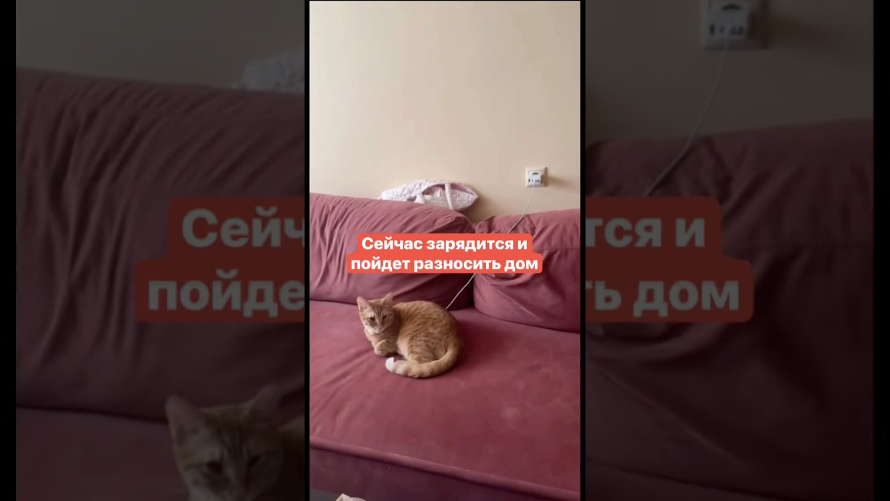 Сейчас зарядится и пойдет разносить дом