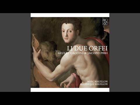 Intavolatura di liuto et di chitarrone, Libro primo: Aria di sarabanda in varie partite