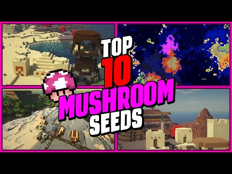 MazBro Minecraft Seeds - 🍄 TOP 10 Best Minecraft Seeds 🍄 MUSHROOM BIOME Edition #2! Best of the best Seeds! (Part 2)