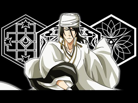 image-Is Bleach light novels canon?