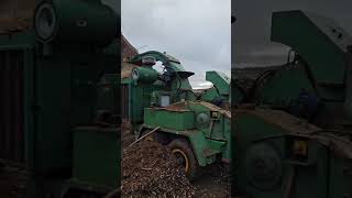 بيع ماكينة تقطيع الأغصان Broyeur Morbark Typhoon moteur Caterpillar - صورة 4 | Agronetto LY ماكينة تقطيع الأغصان Broyeur Morbark Typhoon moteur Caterpillar | صورة 4 - Agronetto