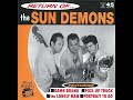The Sun Demons - Damn Drunk