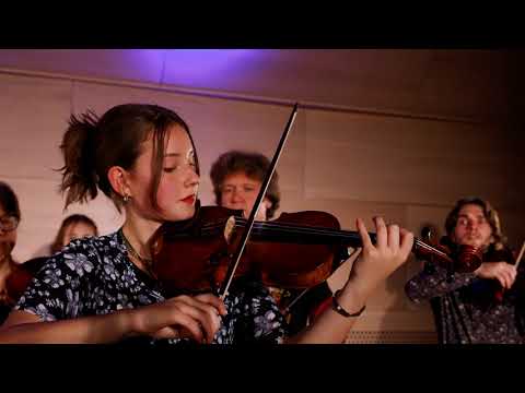 Godalkanje - Hora Lautareasca (Adam Stinga)