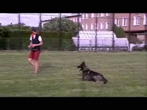 Mia od Natálky - Tricks