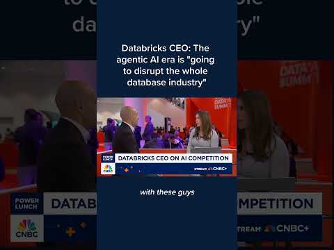 Databricks CEO: The agentic AI era is 'going to disrupt the whole database industry'