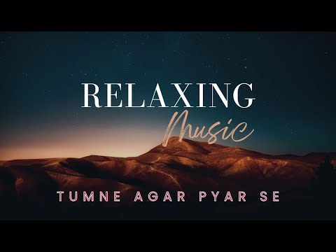 Tumne Agar Pyar Se  Mind Relaxing Lofi Song Raja  Madhuri Dixit #90s