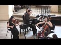 Shostakovich Piano Trio No. 2  - Largo, Allegretto -