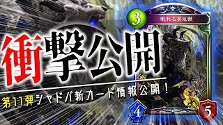 敵全体に4点バースト！？ウィッチ新レジェ「眠れる災厄獣」が公開！秘術やオリハルコンゴーレムの強化となるか。【シャドウバース】【新カード】