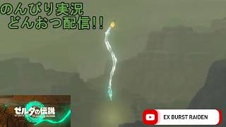 どんおつ配信「ゼルダの伝説 ティアーズオブザキングダム」26