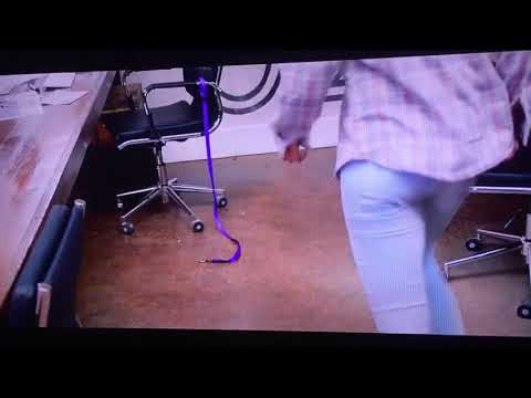 Fashion chicks Esmee hond kwijt